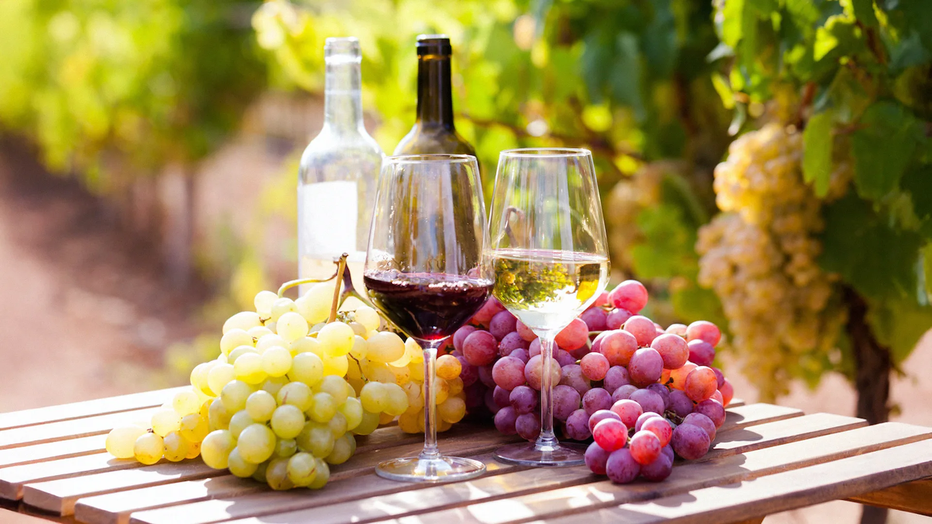 04.11 | Jauni ir puikūs vynai iš Prancūzijos