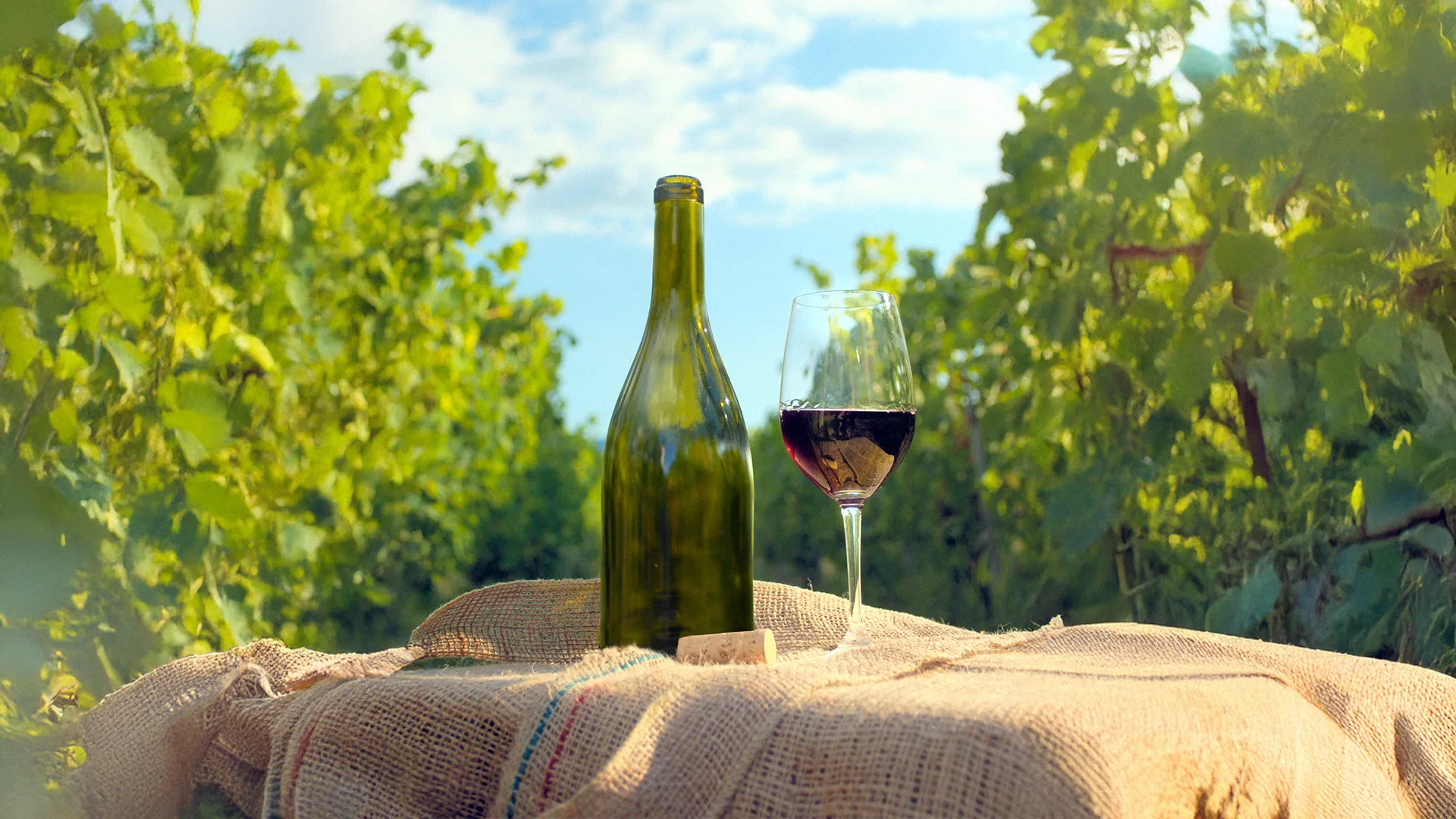 06.13 | Kelionė po Prancūzijos vynų pasaulio kvapus