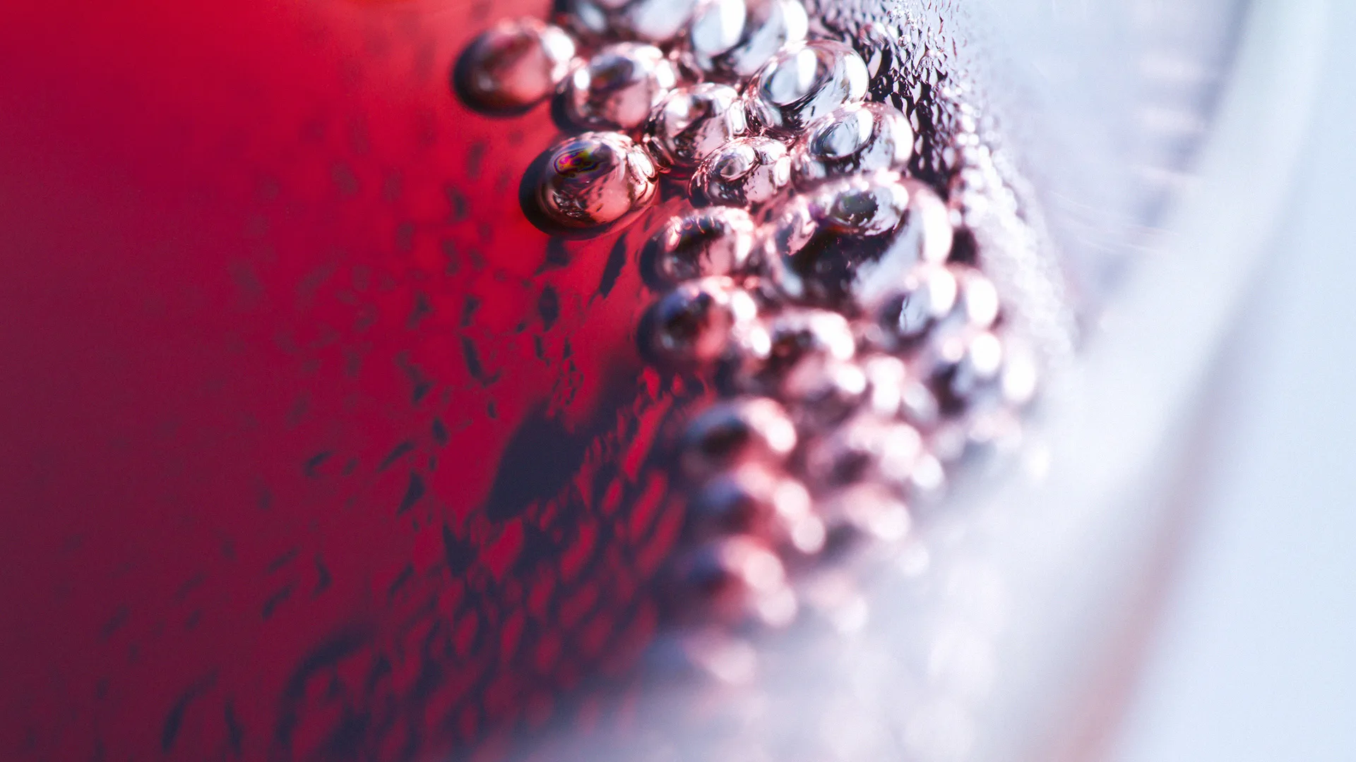 06.27 | Kaip užuosti vyną? Pažinimo popietė su nosies lavinimo pratimais